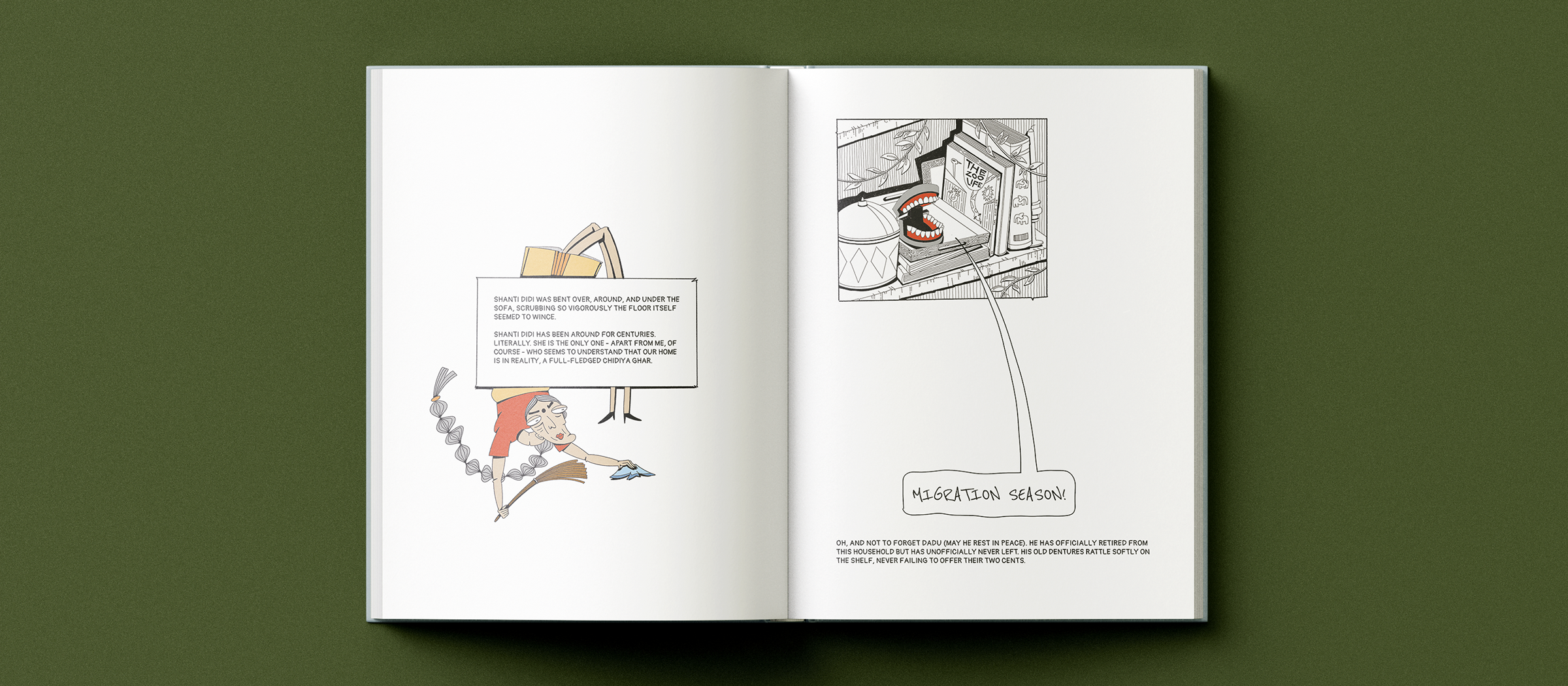 Chidiya Ghar — interior spread from the graphic novel